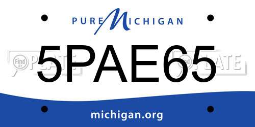 5PAE65 Michigan License Plate