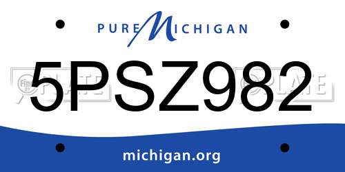 5PSZ982 Michigan License Plate