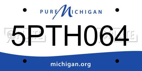 5PTH064 Michigan License Plate