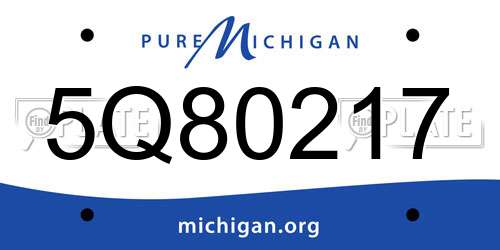5Q80217 Michigan License Plate