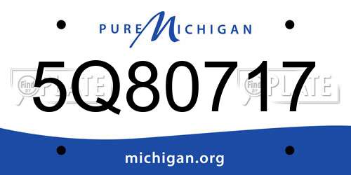 5Q80717 Michigan License Plate