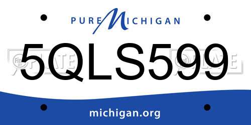 5QLS599 Michigan License Plate
