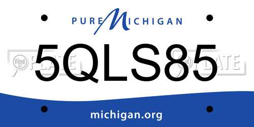 5QLS85 Michigan License Plate