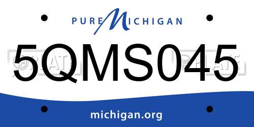 5QMS045 Michigan License Plate