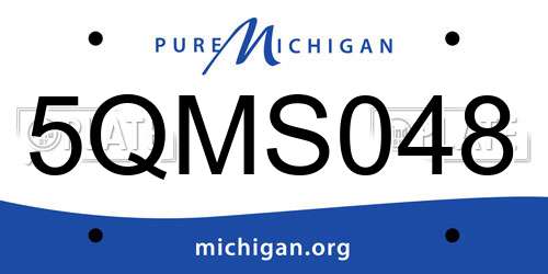 5QMS048 Michigan License Plate