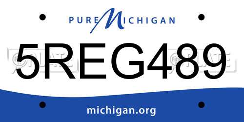5REG489 Michigan License Plate