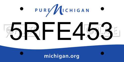5RFE453 Michigan License Plate