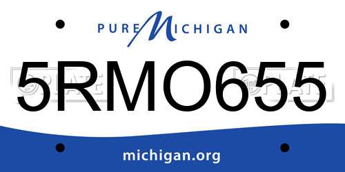5RMO655 Michigan License Plate