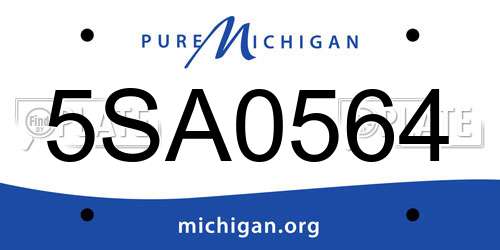 5SA0564 Michigan License Plate