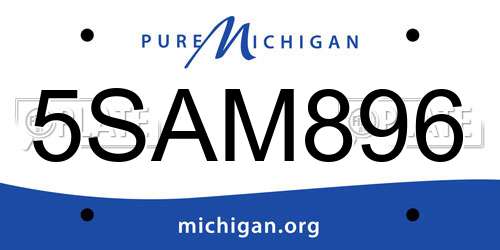 5SAM896 Michigan License Plate