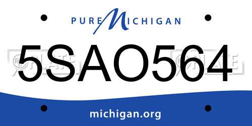 5SAO564 Michigan License Plate