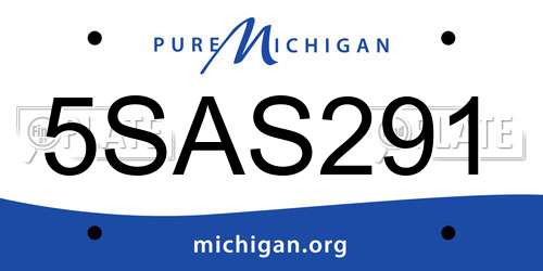 5SAS291 Michigan License Plate