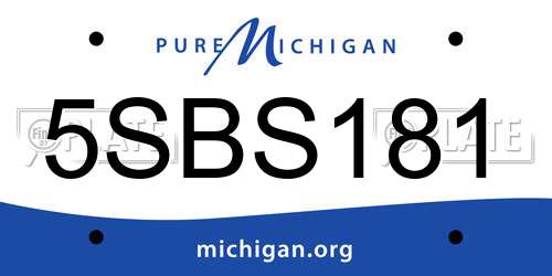 5SBS181 Michigan License Plate