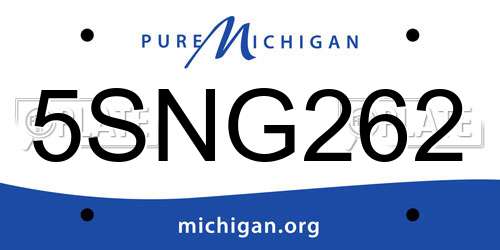 5SNG262 Michigan License Plate