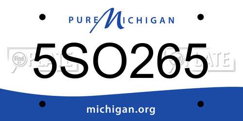 5SO265 Michigan License Plate
