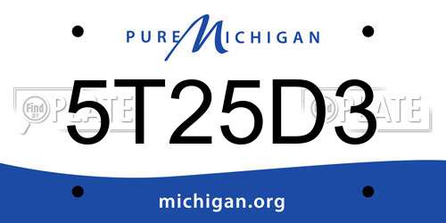 5T25D3 Michigan License Plate