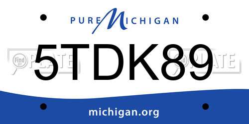 5TDK89 Michigan License Plate