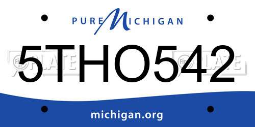 5THO542 Michigan License Plate