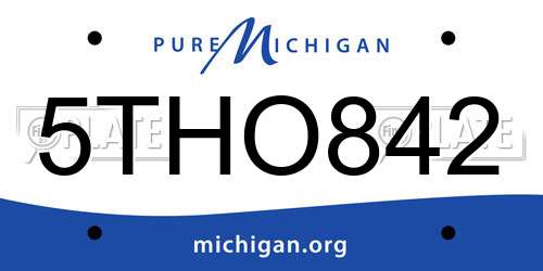 5THO842 Michigan License Plate