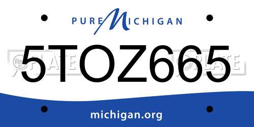 5TOZ665 Michigan License Plate