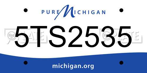 5TS2535 Michigan License Plate