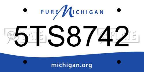 5TS8742 Michigan License Plate