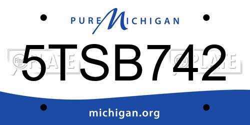 5TSB742 Michigan License Plate