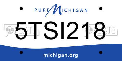 5TSI218 Michigan License Plate