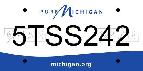 5TSS242 Michigan License Plate
