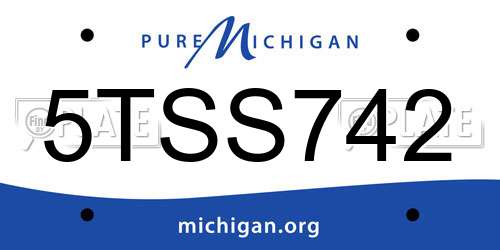 5TSS742 Michigan License Plate