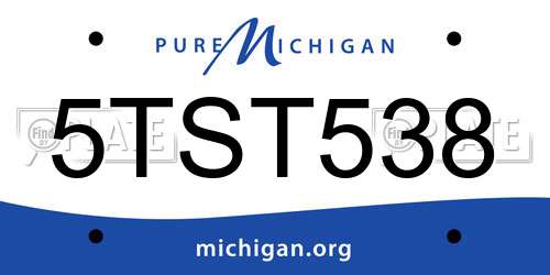 5TST538 Michigan License Plate