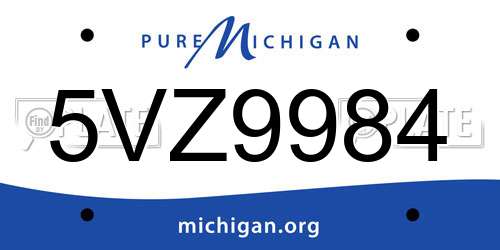 5VZ9984 Michigan License Plate
