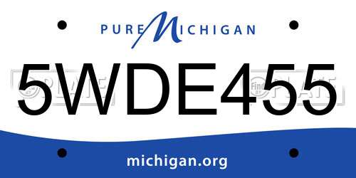 5WDE455 Michigan License Plate