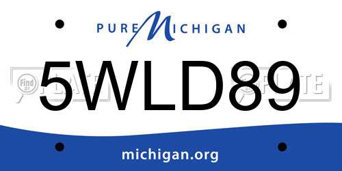5WLD89 Michigan License Plate