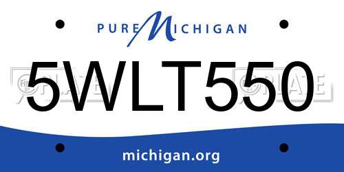 5WLT550 Michigan License Plate