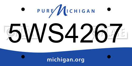 5WS4267 Michigan License Plate