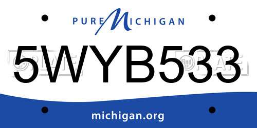 5WYB533 Michigan License Plate