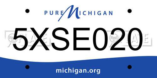 5XSE020 Michigan License Plate