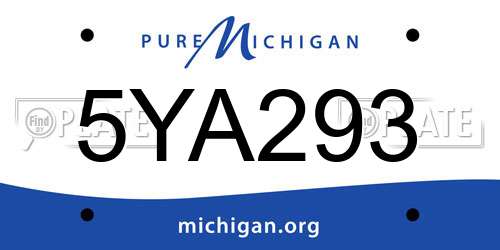 5YA293 Michigan License Plate