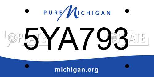 5YA793 Michigan License Plate