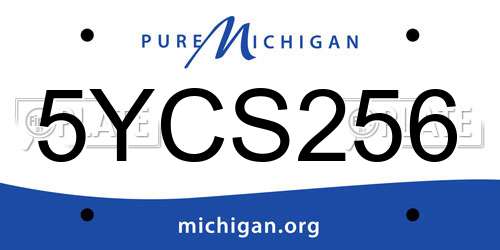 5YCS256 Michigan License Plate