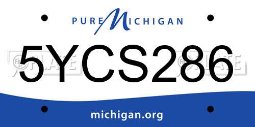 5YCS286 Michigan License Plate