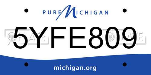 5YFE809 Michigan License Plate