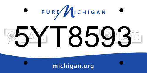 5YT8593 Michigan License Plate