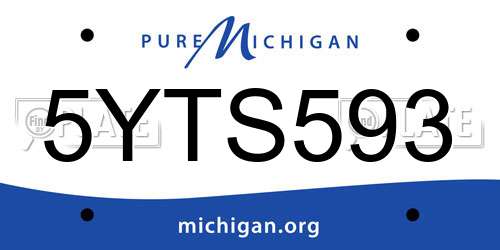 5YTS593 Michigan License Plate