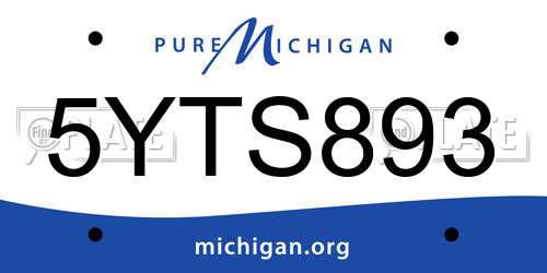 5YTS893 Michigan License Plate