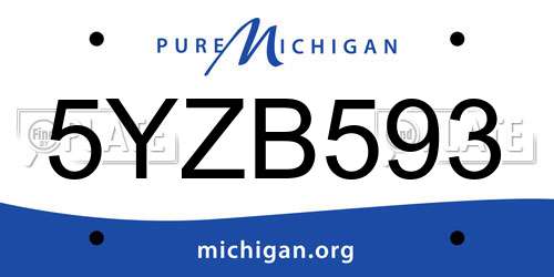 5YZB593 Michigan License Plate