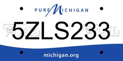 5ZLS233 Michigan License Plate