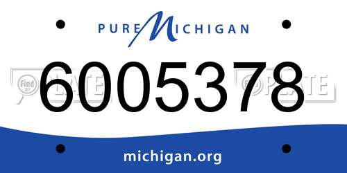 6005378 Michigan License Plate