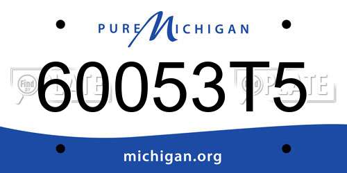 60053T5 Michigan License Plate